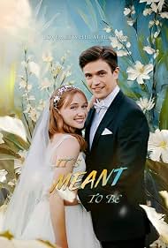 It's Meant to Be poster